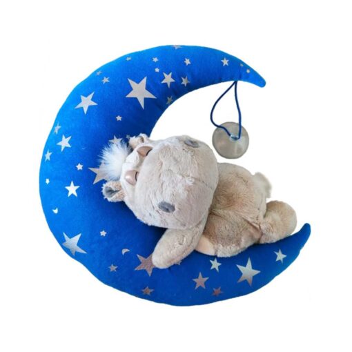 Ippopotamo sulla luna