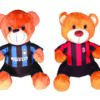 Orsetti Squadre
