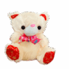 Orsetto Peluches